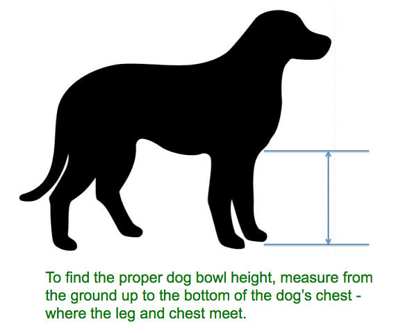 Elevated Dog Feeding Table for Large Size Dog / Raised Feeder 